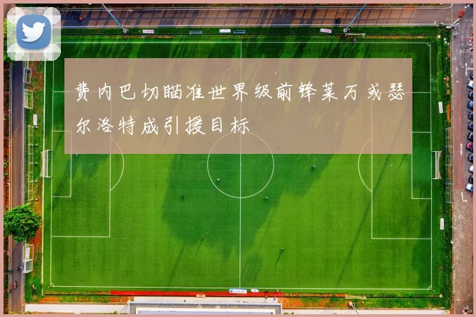 费内巴切瞄准世界级前锋莱万或瑟尔洛特成引援目标